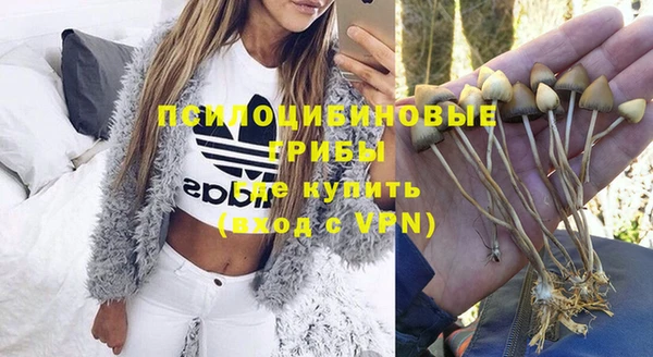 мяу мяу мука Карталы