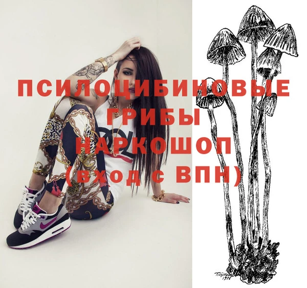мяу мяу мука Карталы
